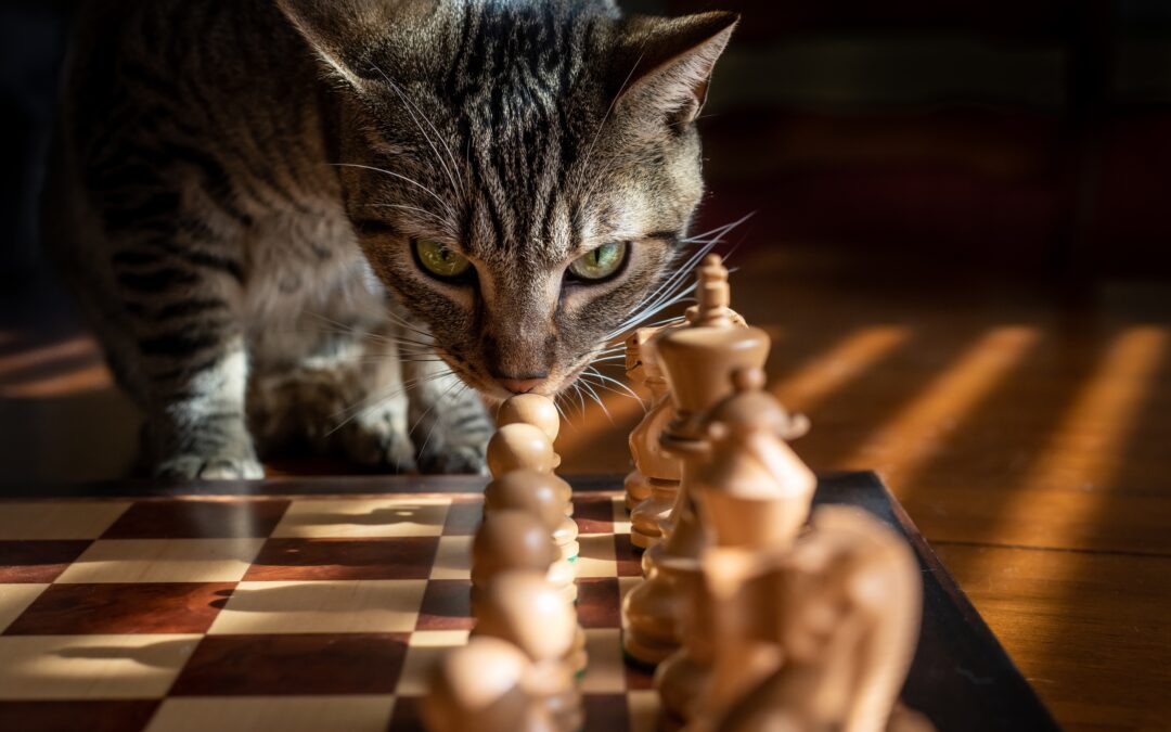 How to make better decisions 